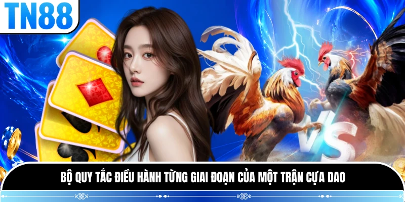 Bộ quy tắc điều hành từng giai đoạn của một trận cựa dao