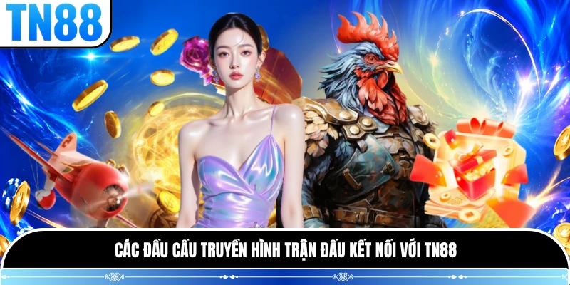Các đầu cầu truyền hình trận đấu kết nối với TN88
