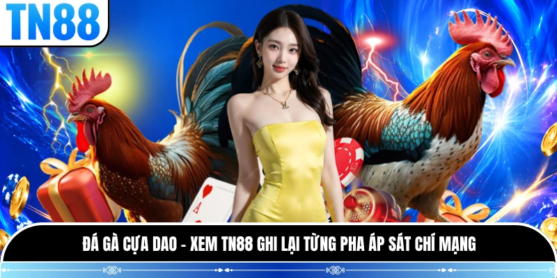 Đá Gà Cựa Dao - Xem TN88 Ghi Lại Từng Pha Áp Sát Chí Mạng