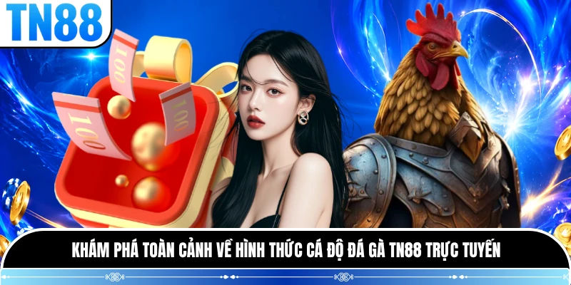 Khám phá toàn cảnh về hình thức cá độ đá gà TN88 trực tuyến