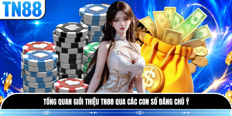 Tổng quan giới thiệu TN88 qua các con số đáng chú ý